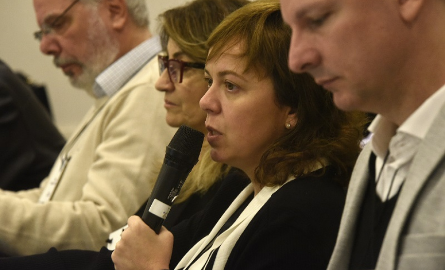 Reunião do Conselho Estadual de Cultura.
Curitiba, 20 de maio de 2019.
Foto: Kraw Penas/SECC