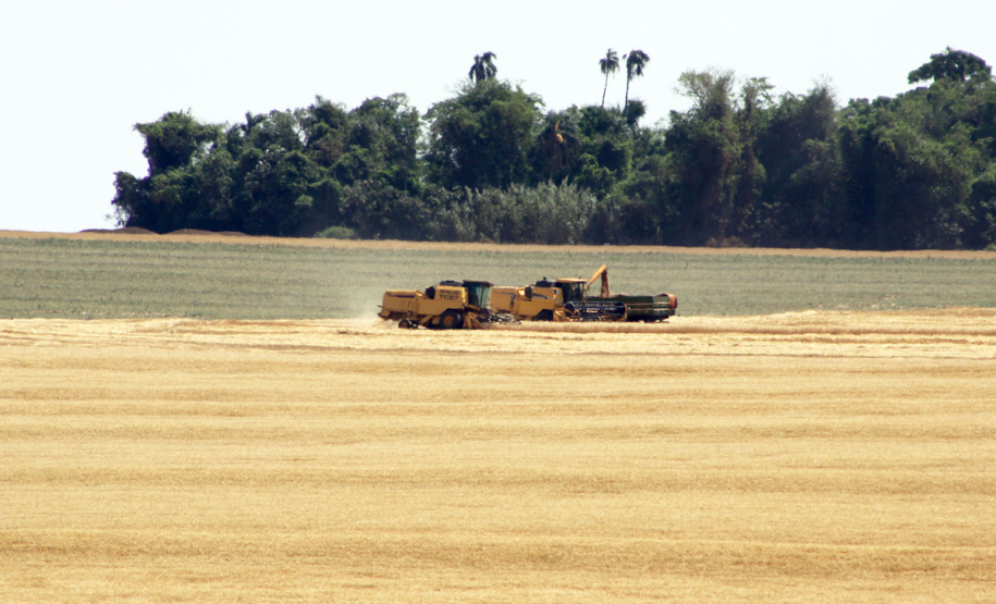 Relatório da safra 2018/2019 divulgado nesta quinta-feira (23) pelo Departamento de Economia Rural (Deral), da Secretaria de Estado da Agricultura e do Abastecimento, mostra que a produção paranaense de grão pode chegar a 37,1 milhões de toneladas, uma variação positiva de 5% em relação à safra anterior. Foto: Jonas Oliveira/Arquivo-ANPr