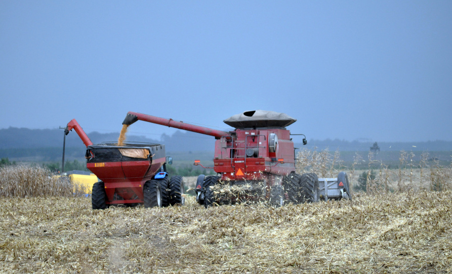 Relatório da safra 2018/2019 divulgado nesta quinta-feira (23) pelo Departamento de Economia Rural (Deral), da Secretaria de Estado da Agricultura e do Abastecimento, mostra que a produção paranaense de grão pode chegar a 37,1 milhões de toneladas, uma variação positiva de 5% em relação à safra anterior.

Segundo o Deral, o milho pode representar 17% do total nacional na safra 2018/2019.  Foto: Jonas Oliveira/Arquivo-ANPr