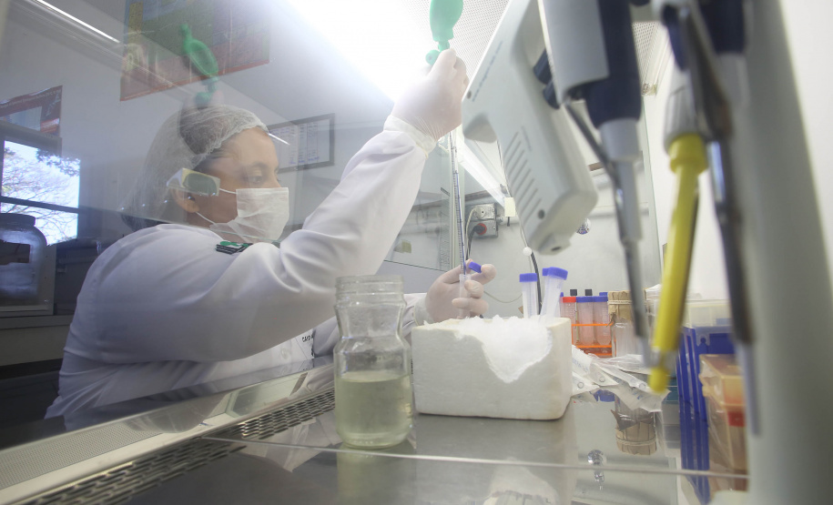 A produção acadêmica das sete universidades pertencentes ao governo estadual é um dos pilares para o Paraná estar entre os estados brasileiros que mais produzem ciência e inovação, colaborando para elevar a produção científica do país. Levantamento realizado neste mês de maio, junto às sete universidades estaduais, demonstrou que nos últimos dois anos foram concluídas 5.735 dissertações de mestrados e teses de doutorados.  -  Curitiba, 28/05/2019  -  Foto: Jaelson Lucas/ANPr