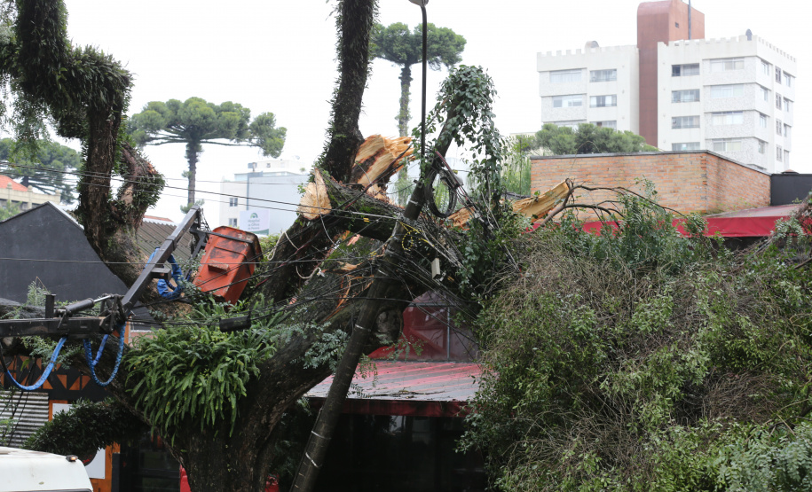 Vendavais e granizo afetam mais de sete mil pessoas no Paraná. Foto: Geraldo Bubniak/ANPr