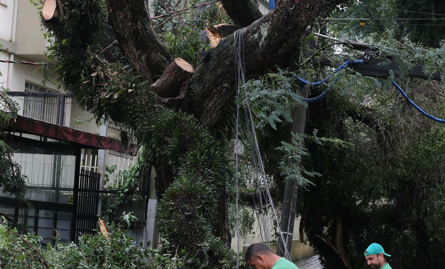 Vendavais e granizo afetam mais de sete mil pessoas no Paraná. Foto: Geraldo Bubniak/ANPr