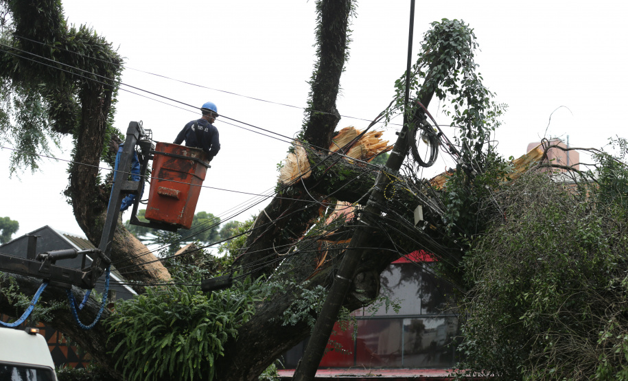 Vendavais e granizo afetam mais de sete mil pessoas no Paraná. Foto: Geraldo Bubniak/ANPr