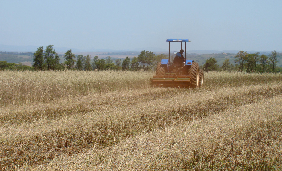 Plantio direto como prática de preservação do meio ambiente.  -  Foto:  Cézar Francisco Araujo Júnior/Iapar