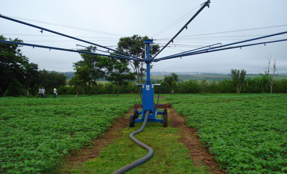 Plantio direto como prática de preservação do meio ambiente.  -  Foto:  Cézar Francisco Araujo Júnior/Iapar