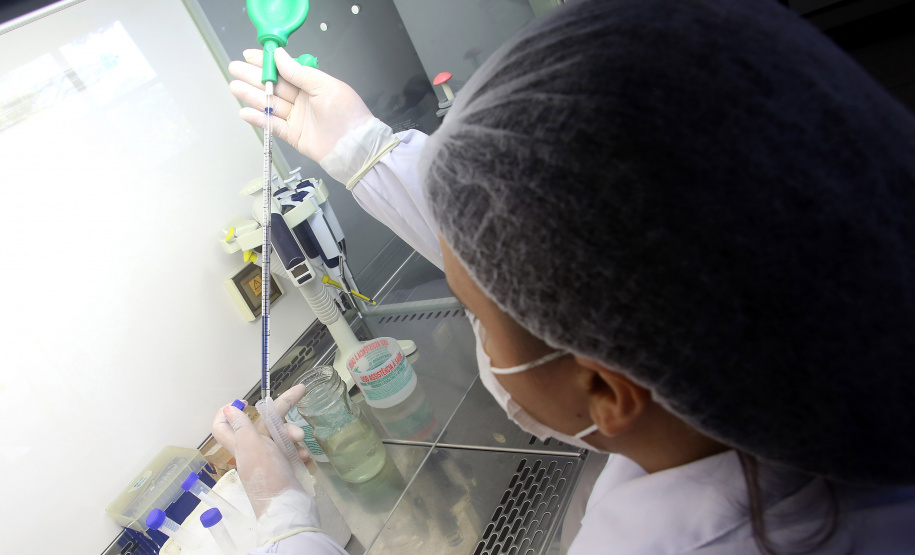 Paraná bate recorde de inscritos em programa de incentivo à inovação. Foto: Jaelson Lucas/ANPr