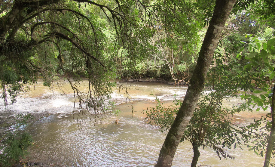 Em comemoração ao Dia Mundial do Meio Ambiente (5 de junho), o Rio Pato Branco é alvo de ações do grupo de trabalho de  preservação e conservação de mananciais de abastecimento da Sanepar na região de Pato Branco.  -  Pato Branco, 03/06/2019  -  Foto: Divulgação Sanepar