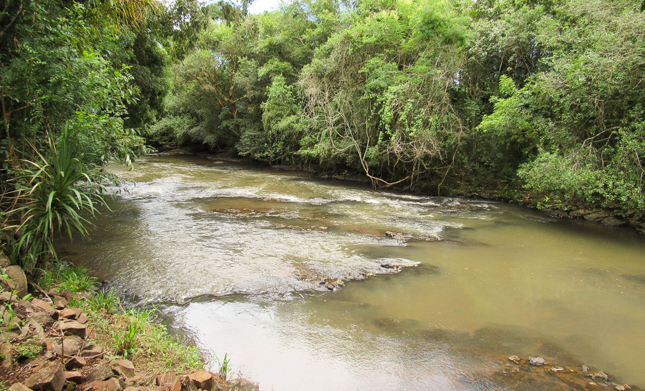 Em comemoração ao Dia Mundial do Meio Ambiente (5 de junho), o Rio Pato Branco é alvo de ações do grupo de trabalho de  preservação e conservação de mananciais de abastecimento da Sanepar na região de Pato Branco.  -  Pato Branco, 03/06/2019  -  Foto: Divulgação Sanepar