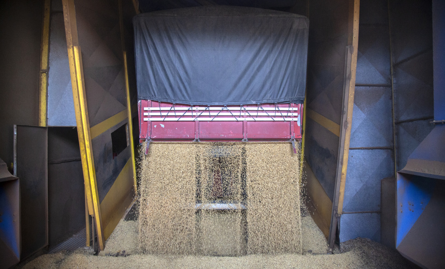 Corredor de Exportação Porto de Paranaguá  -  Paranaguá, 05/06/2019  -  Foto: Cláudio Neves/APPA