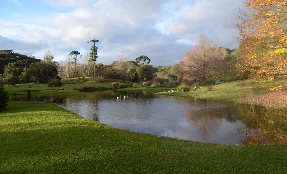 Secretaria promove ações em homenagem ao Meio Ambiente. Foto: Divulgação/SEDEST