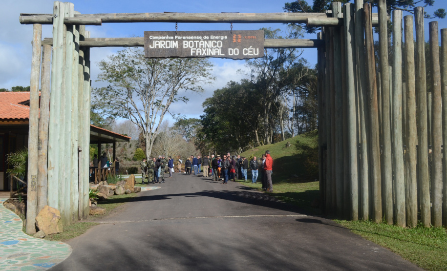 Secretaria promove ações em homenagem ao Meio Ambiente. Foto: Divulgação/SEDEST