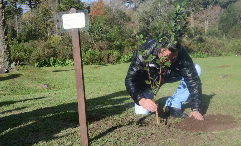 Secretaria promove ações em homenagem ao Meio Ambiente. Foto: Divulgação/SEDEST