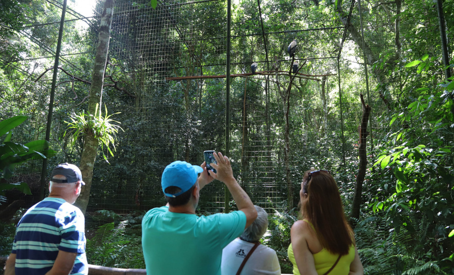 04/2019 - Foz do Iguaçu - Parque das Aves. Foto: José Fernando Ogura/ANPr