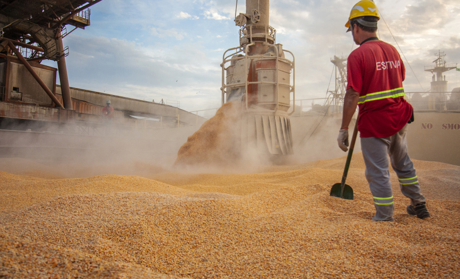 Movimentação Porto de Paranaguá  -  Paranaguá, 10/06/2019  -  Foto: Cláudio Neves/APPA