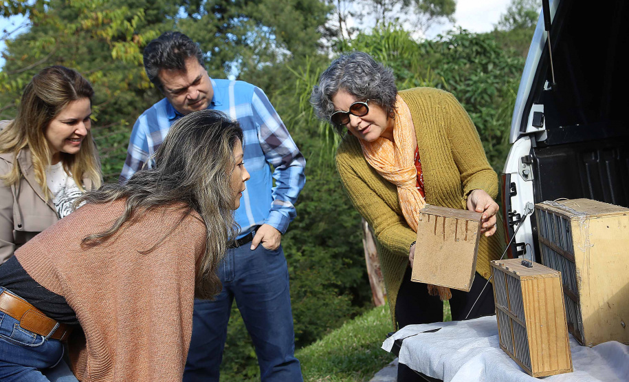 A Secretaria de Estado do Desenvolvimento Sustentável e do Turismo e o Instituto Ambiental do Paraná (IAP) realizaram nesta segunda-feira (10) a soltura de 30 aves apreendidas em operações de fiscalização. A soltura aconteceu no Criadouro Conservacionista Onça-Pintada, em Campina Grande do Sul, na Grande Curitiba. Ação integra as comemorações do Dia Internacional do Meio Ambiente. Foto: Jaelson Lucas/ANPr
