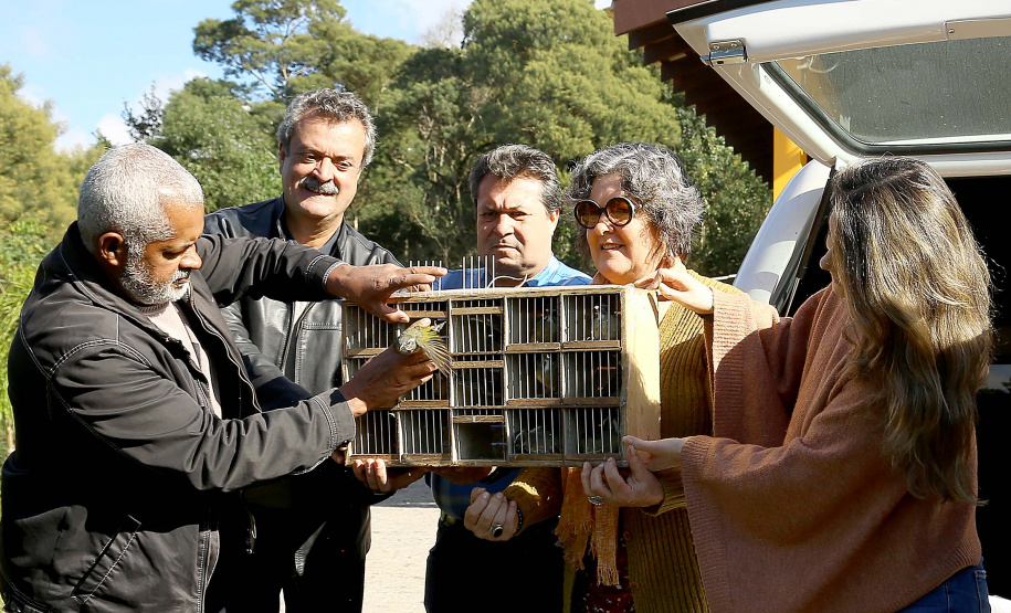 A Secretaria de Estado do Desenvolvimento Sustentável e do Turismo e o Instituto Ambiental do Paraná (IAP) realizaram nesta segunda-feira (10) a soltura de 30 aves apreendidas em operações de fiscalização. A soltura aconteceu no Criadouro Conservacionista Onça-Pintada, em Campina Grande do Sul, na Grande Curitiba. Ação integra as comemorações do Dia Internacional do Meio Ambiente. Foto: Jaelson Lucas/ANPr