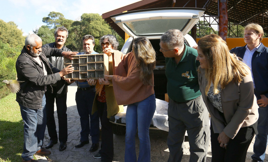 A Secretaria de Estado do Desenvolvimento Sustentável e do Turismo e o Instituto Ambiental do Paraná (IAP) realizaram nesta segunda-feira (10) a soltura de 30 aves apreendidas em operações de fiscalização. A soltura aconteceu no Criadouro Conservacionista Onça-Pintada, em Campina Grande do Sul, na Grande Curitiba. Ação integra as comemorações do Dia Internacional do Meio Ambiente. Foto: Jaelson Lucas/ANPr