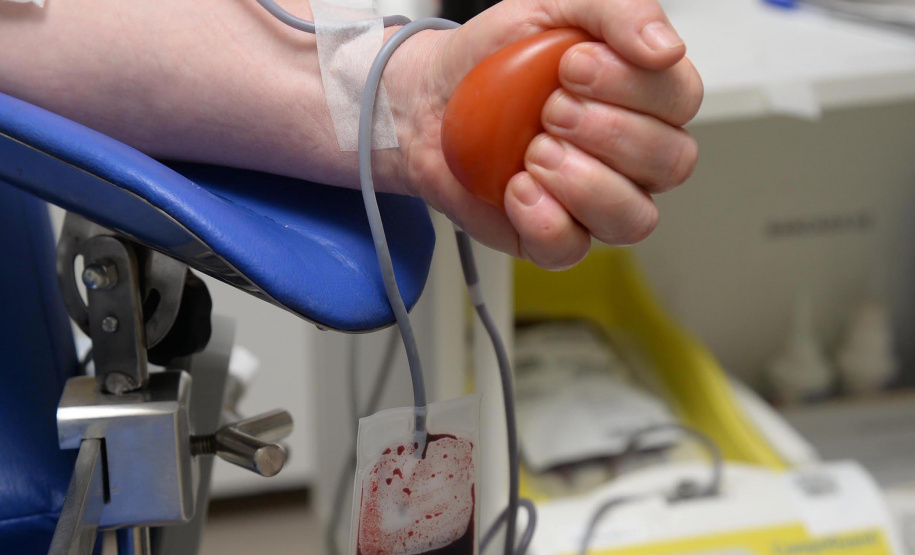 A frase é de uma mensagem de agradecimento publicada em rede social pela paciente Valéria Gurski, de Cascavel, portadora de Talassemica Major, um tipo de anemia crônica que exige transfusões sanguíneas a cada 21 dias. A transfusão é parte fundamental do tratamento da paciente de 30 anos que frequenta o Centro de Hematologia e Hemoterapia do Paraná (Hemepar) desde o primeiro ano de vida.

Foto:Venilton Küchler/Arquivo/SESA