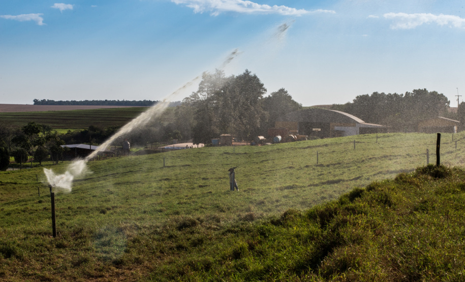 BIOMASSA - Em Entre Rios do Oeste, onde a produção de carne suína é mais de 30 vezes maior do que o número de habitantes, um projeto da Aneel (Agência Nacional de Energia Elétrica), Copel, Fundação Parque Tecnológico de Itaipu, CIBiogás e prefeitura municipal vai gerar e distribuir energia elétrica a partir do biogás de biomassa residual da suinocultura em propriedades rurais.  12/06/2019  -  Foto: Divulgação