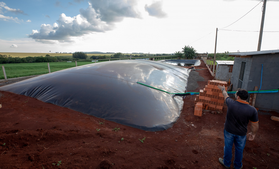 BIOMASSA - Em Entre Rios do Oeste, onde a produção de carne suína é mais de 30 vezes maior do que o número de habitantes, um projeto da Aneel (Agência Nacional de Energia Elétrica), Copel, Fundação Parque Tecnológico de Itaipu, CIBiogás e prefeitura municipal vai gerar e distribuir energia elétrica a partir do biogás de biomassa residual da suinocultura em propriedades rurais.  12/06/2019  -  Foto: Kiko Sierich