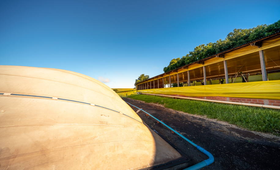 BIOMASSA - Em Entre Rios do Oeste, onde a produção de carne suína é mais de 30 vezes maior do que o número de habitantes, um projeto da Aneel (Agência Nacional de Energia Elétrica), Copel, Fundação Parque Tecnológico de Itaipu, CIBiogás e prefeitura municipal vai gerar e distribuir energia elétrica a partir do biogás de biomassa residual da suinocultura em propriedades rurais.  12/06/2019  -  Foto: Alexandre Marchetti