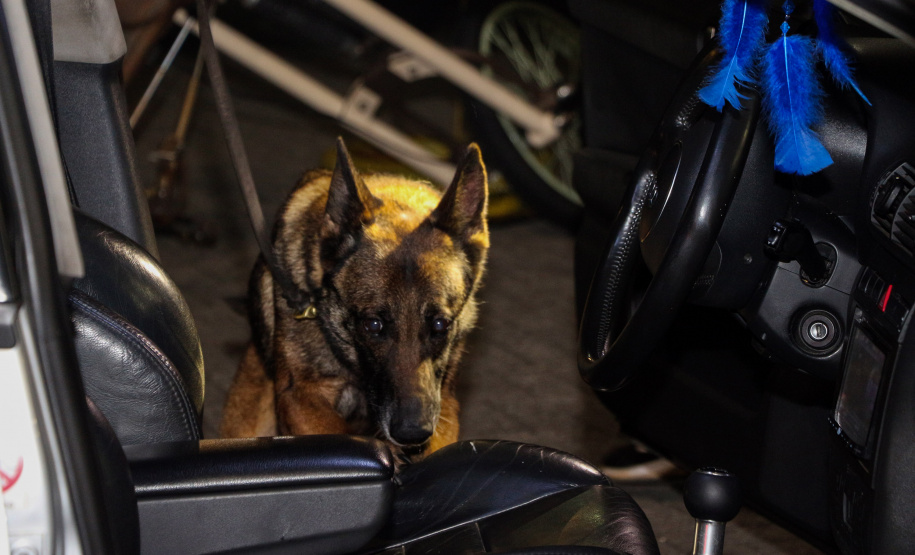 13-06-2019 Operação Conjunta PMPR e PCPR Curitiba, 13 de junho de 2019. Operação Conjunta PMPR e PCPR - Curitiba, 14/06/2019 - Foto: Soldado Amanda Morais