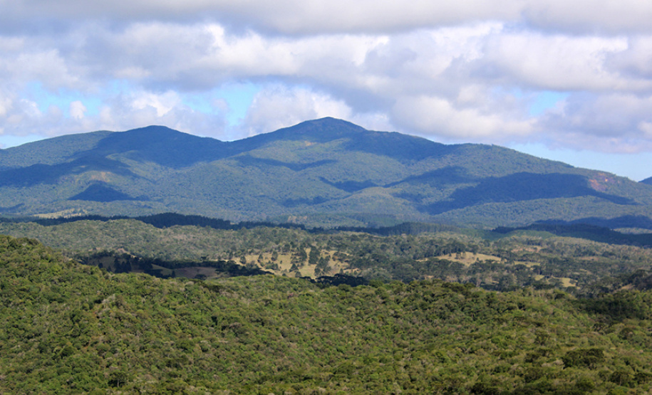 Parque Estadual da Serra Baitaca. Foto: Pefeitura de Quatro Barras