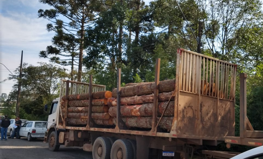 Fiscais do Instituto Ambiental do Paraná (IAP), regional de União da Vitória, identificaram nessa quinta-feira (13), no município de Paulo Frontin, uma área de corte de vegetação nativa ilegal, equivalente a 1,43 hectares de desmate.   União da Vitória, 13/06/2019  -  Foto: Divulgaação IAP