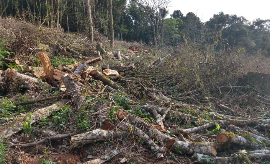 Fiscais do Instituto Ambiental do Paraná (IAP), regional de União da Vitória, identificaram nessa quinta-feira (13), no município de Paulo Frontin, uma área de corte de vegetação nativa ilegal, equivalente a 1,43 hectares de desmate.   União da Vitória, 13/06/2019  -  Foto: Divulgaação IAP