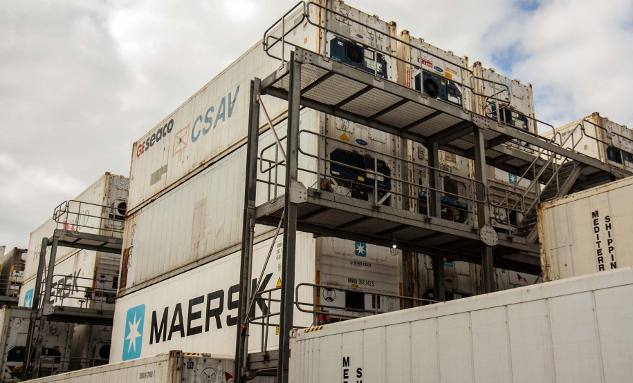 Mais de 38% de todo o frango congelado exportado pelo Brasil, em 2019, saiu do país pelo Porto de Paranaguá. De janeiro a maio, as vendas de carne de frango brasileira somaram 1,6 milhão de toneladas. Deste total, 637,6 mil toneladas foram movimentadas no porto paranaense. Foto: Claudio Neves/Portos do Paraná