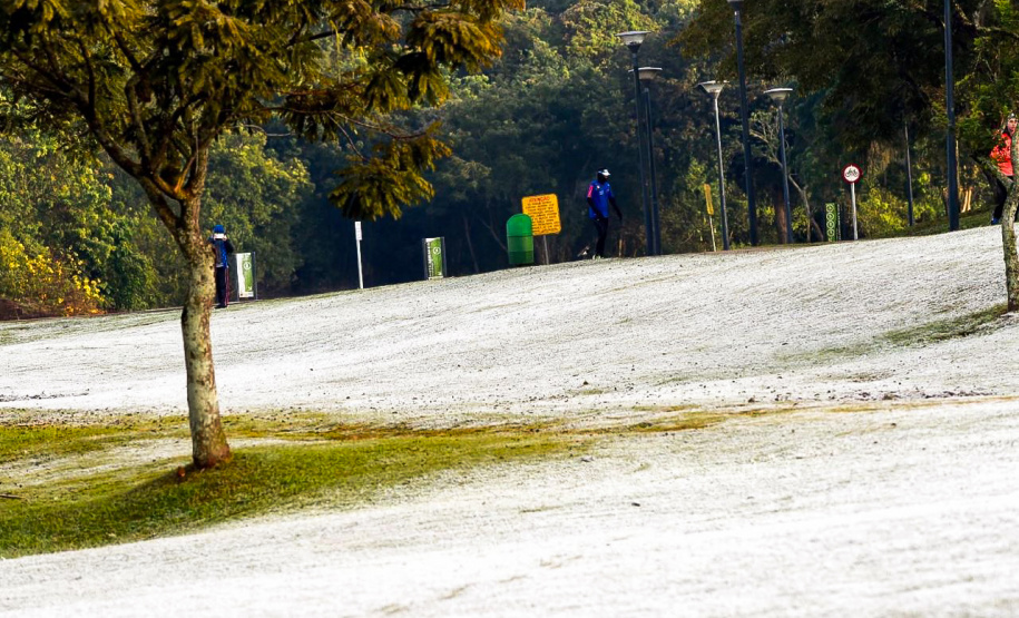 Paraná oferece opções diversificadas para o período de inverno  -  Foto: Denis Ferreira Netto/SEDEST