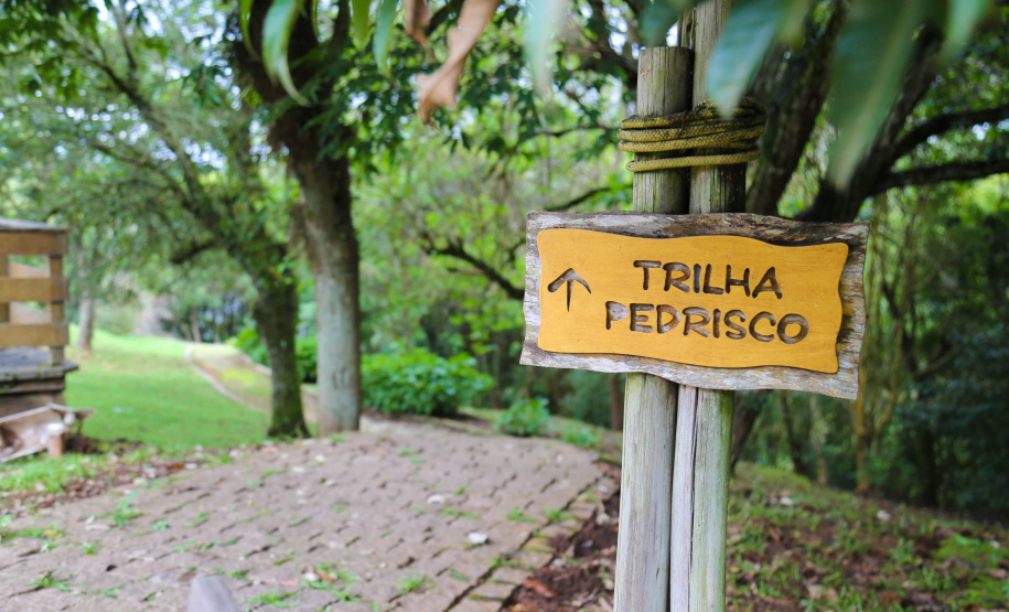 Balsa Nova - Parque Manancial.Foto: Geraldo Bubniak