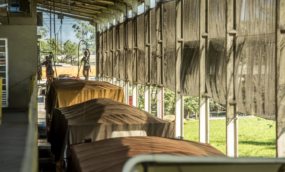 O movimento no Pátio de Triagem do Porto de Paranaguá, esta semana, passou dos três mil caminhões por dia. O volume é quase 67% maior que a média registrada normalmente, de até 2 mil veículos/dia, e resultado da boa fase do agronegócio brasileiro, principalmente no comércio de soja e milho. - Paranaguá, 19/06/2019 - Foto: Cláudio Neves/Portos do Paraná