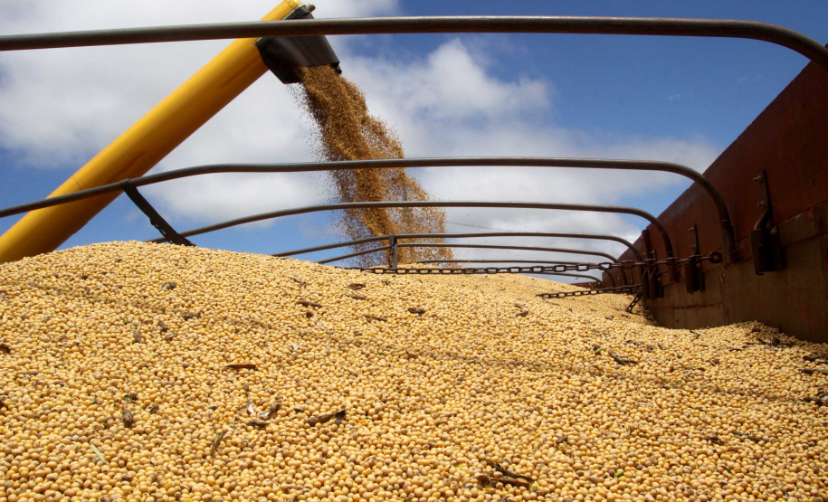 Quebra da safra afeta o PIB do Paraná no primeiro trimestre. Foto: Arquivo/ANPr