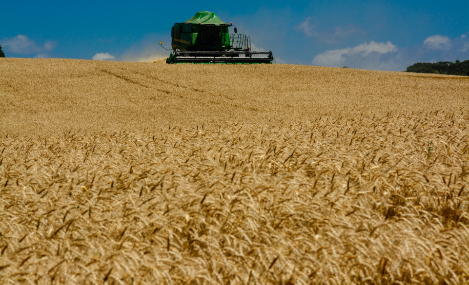 O Valor Bruto da Produção Agropecuária (VBP) do Paraná atingiu R$ 89,6 bilhões em 2018, correspondente ao faturamento bruto dos produtores com a comercialização da safra 2017/18..  -  Foto - Antonio Costa/Arquivo ANPr