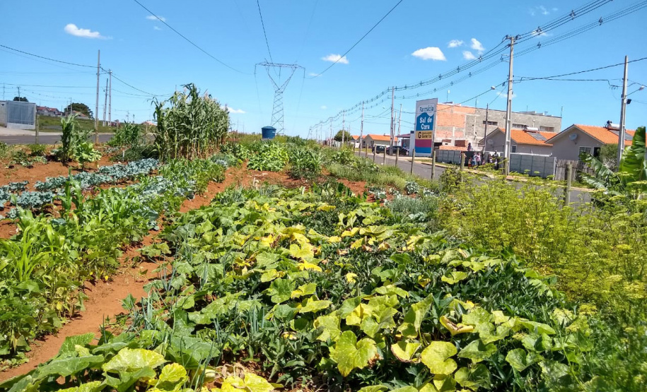 Programa social da Copel recebe reconhecimento nacional. Foto: Divulgação/Copel