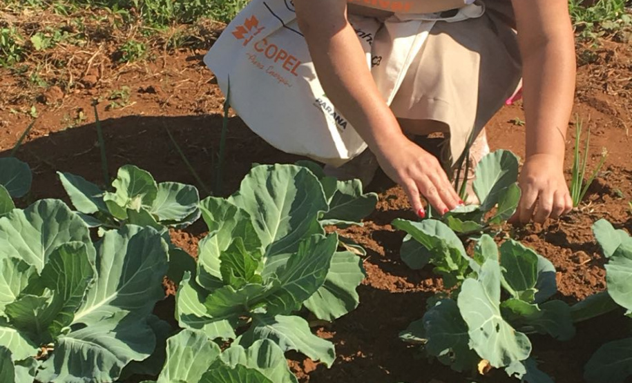 Programa social da Copel recebe reconhecimento nacional. Foto: Divulgação/Copel