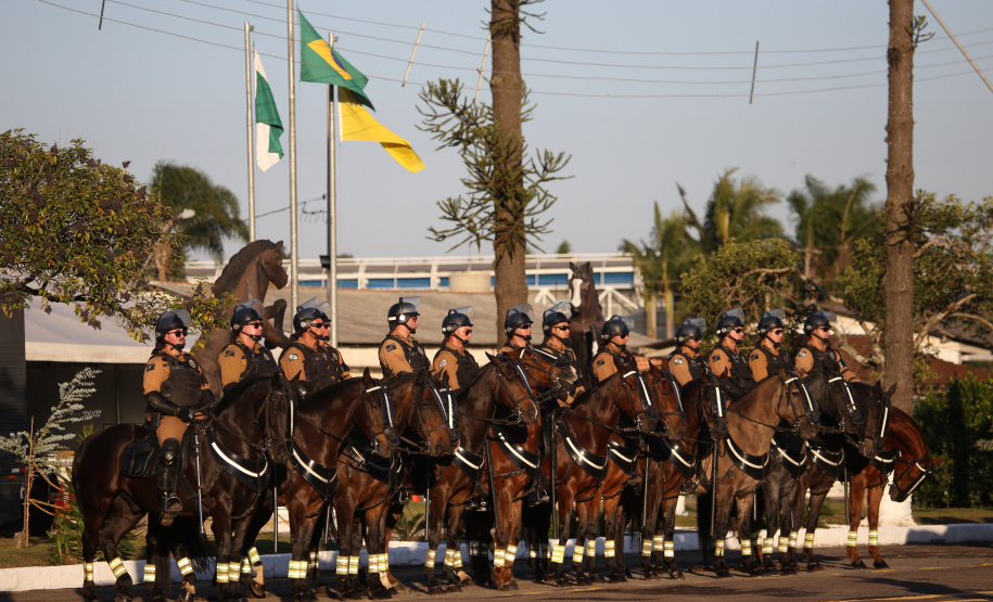 O governador Carlos Massa Ratinho Junior e o presidente em exercício Hamilton Mourão receberam nesta sexta-feira (28) a medalha Heróis da Cavalaria, da Polícia Montada Coronel Dulcídio. A condecoração foi entregue na cerimônia, em Curitiba, que comemora os 140 anos do regimento, que é a unidade mais antiga da Polícia Militar do Paraná.  -  Curitiba, 28/06/2019  -  Foto: José Fernando Ogura/ANPr