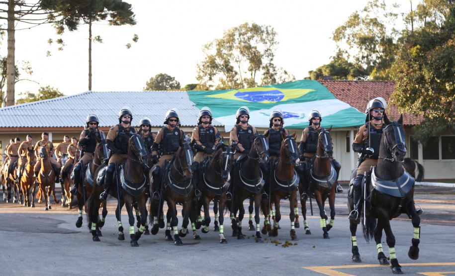 O governador Carlos Massa Ratinho Junior e o presidente em exercício Hamilton Mourão receberam nesta sexta-feira (28) a medalha Heróis da Cavalaria, da Polícia Montada Coronel Dulcídio. A condecoração foi entregue na cerimônia, em Curitiba, que comemora os 140 anos do regimento, que é a unidade mais antiga da Polícia Militar do Paraná.  -  Curitiba, 28/06/2019  -  Foto: José Fernando Ogura/ANPr