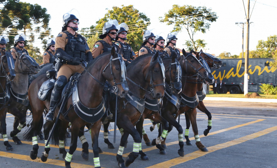 O governador Carlos Massa Ratinho Junior e o presidente em exercício Hamilton Mourão receberam nesta sexta-feira (28) a medalha Heróis da Cavalaria, da Polícia Montada Coronel Dulcídio. A condecoração foi entregue na cerimônia, em Curitiba, que comemora os 140 anos do regimento, que é a unidade mais antiga da Polícia Militar do Paraná.  -  Curitiba, 28/06/2019  -  Foto: José Fernando Ogura/ANPr
