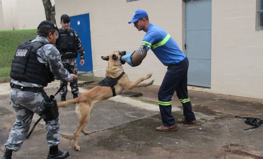Profissionais da Sanepar recebem treinamento periodicamente. Foto: Divulgação/Sanepar