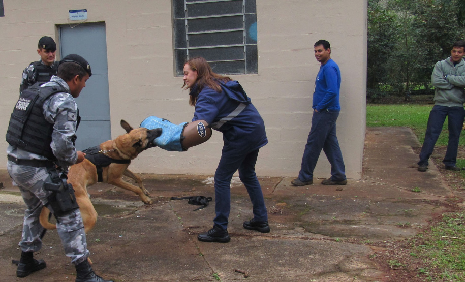 Profissionais da Sanepar recebem treinamento periodicamente. Foto: Divulgação/Sanepar