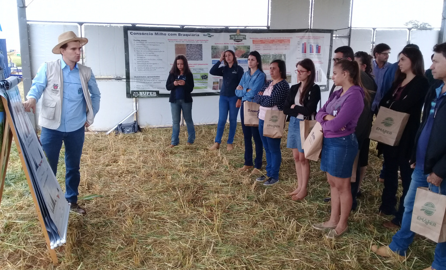 O vice-governador do Paraná, Darci Piana, e o secretário estadual da agricultura e do Abastecimento, Noberto Ortigara, visitaram nesta quarta (3) a Expotécnica, feira agropecuária realizada em Sabáudia, norte do estado. A feira, na sua 26ª edição, se destaca pela elevada presença de produtores rurais de toda a região e pelas inovações trazidas ao homem do campo.  -  Sabáudia, 03/07/2019  -  Foto: Lucas V.de Araújo/Iapar