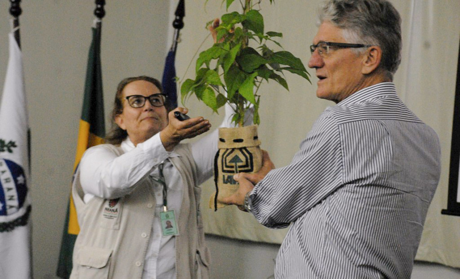 A pesquisadora Vânia Moda Cirino entrega ao secretário Norberto Ortigara, uma mostra da variedade de feijão IPR Urutau -  Foto: Divulgação Iapar