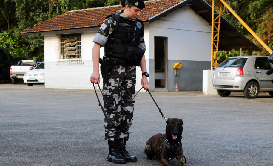 04-07-2019 RIC Grava no Canil A soldado Angélica Aparecida Chuede é a primeira mulher a fazer parte da Companhia de Operações com Cães (COC) do Batalhão de Operações Especiais (BOPE), em 47 anos de criação da subunidade. A inclusão da militar estadual aconteceu com a formatura dela no Curso de Cinotecnia na última semana, que fez todas as etapas com seu cão Hunter.  -  Curitiba, 04/07/2019  =-  Foto: Soldado Amanda Morais