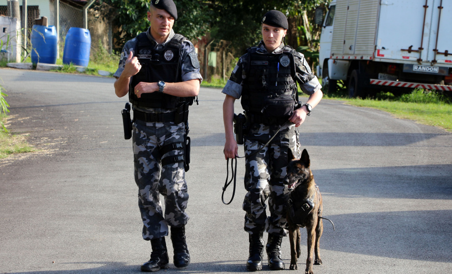 04-07-2019 RIC Grava no Canil A soldado Angélica Aparecida Chuede é a primeira mulher a fazer parte da Companhia de Operações com Cães (COC) do Batalhão de Operações Especiais (BOPE), em 47 anos de criação da subunidade. A inclusão da militar estadual aconteceu com a formatura dela no Curso de Cinotecnia na última semana, que fez todas as etapas com seu cão Hunter.  -  Curitiba, 04/07/2019  =-  Foto: Soldado Amanda Morais