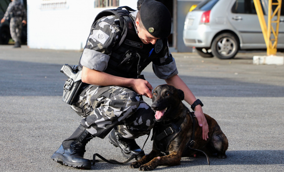 04-07-2019 RIC Grava no Canil A soldado Angélica Aparecida Chuede é a primeira mulher a fazer parte da Companhia de Operações com Cães (COC) do Batalhão de Operações Especiais (BOPE), em 47 anos de criação da subunidade. A inclusão da militar estadual aconteceu com a formatura dela no Curso de Cinotecnia na última semana, que fez todas as etapas com seu cão Hunter.  -  Curitiba, 04/07/2019  =-  Foto: Soldado Amanda Morais