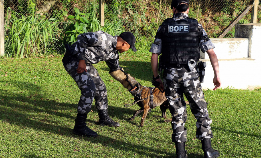 04-07-2019 RIC Grava no Canil A soldado Angélica Aparecida Chuede é a primeira mulher a fazer parte da Companhia de Operações com Cães (COC) do Batalhão de Operações Especiais (BOPE), em 47 anos de criação da subunidade. A inclusão da militar estadual aconteceu com a formatura dela no Curso de Cinotecnia na última semana, que fez todas as etapas com seu cão Hunter.  -  Curitiba, 04/07/2019  =-  Foto: Soldado Amanda Morais