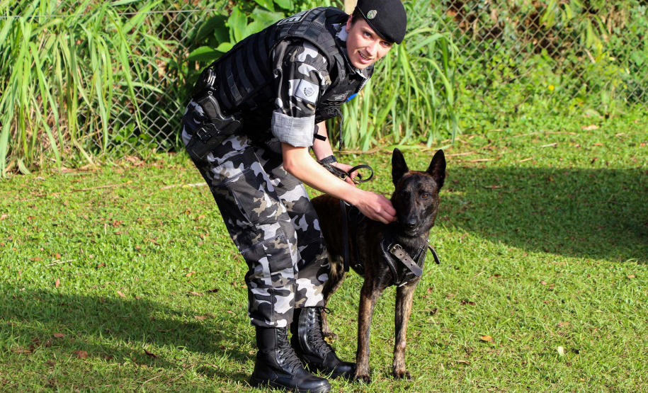 04-07-2019 RIC Grava no Canil A soldado Angélica Aparecida Chuede é a primeira mulher a fazer parte da Companhia de Operações com Cães (COC) do Batalhão de Operações Especiais (BOPE), em 47 anos de criação da subunidade. A inclusão da militar estadual aconteceu com a formatura dela no Curso de Cinotecnia na última semana, que fez todas as etapas com seu cão Hunter.  -  Curitiba, 04/07/2019  =-  Foto: Soldado Amanda Morais