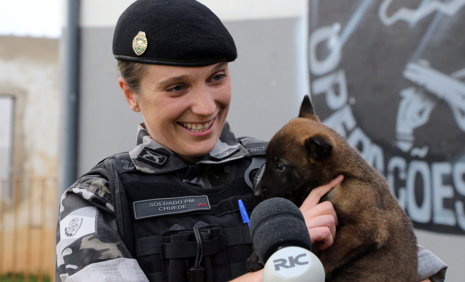 04-07-2019 RIC Grava no Canil A soldado Angélica Aparecida Chuede é a primeira mulher a fazer parte da Companhia de Operações com Cães (COC) do Batalhão de Operações Especiais (BOPE), em 47 anos de criação da subunidade. A inclusão da militar estadual aconteceu com a formatura dela no Curso de Cinotecnia na última semana, que fez todas as etapas com seu cão Hunter.  -  Curitiba, 04/07/2019  =-  Foto: Soldado Amanda Morais